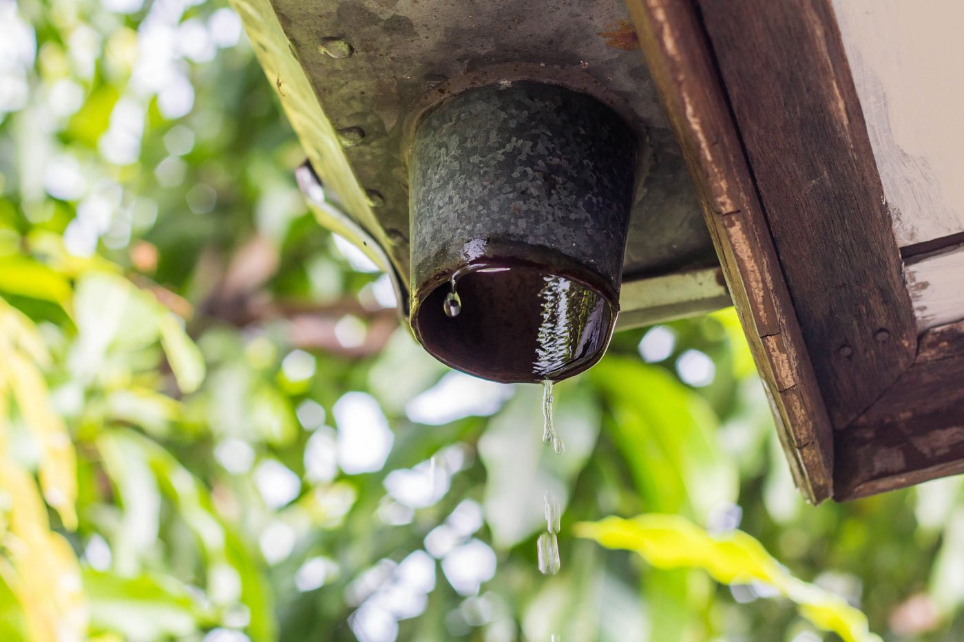 Spout Cleaning