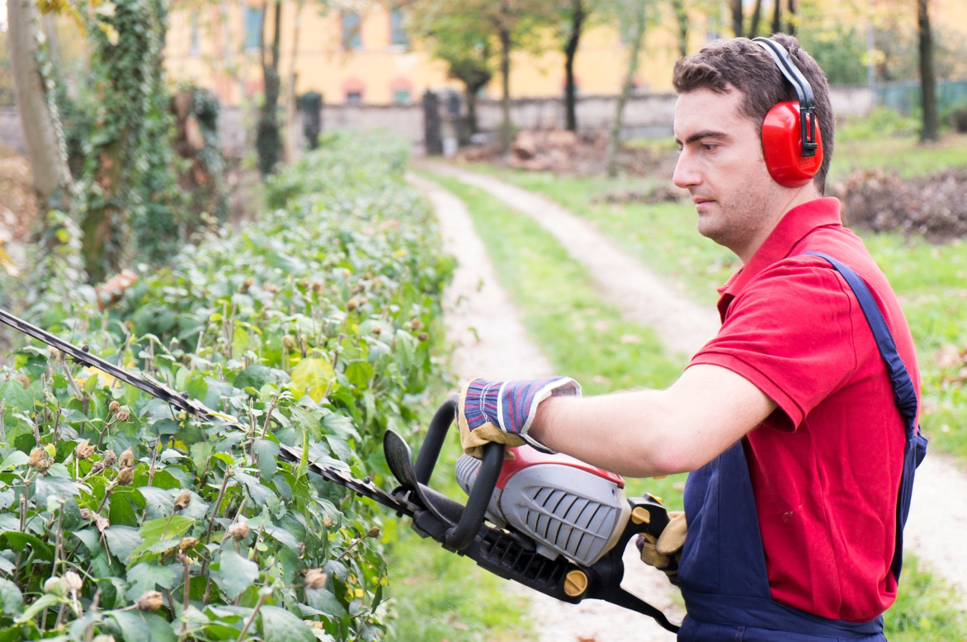 Brush Removal Creve Coeur, MO All American Brush Removal