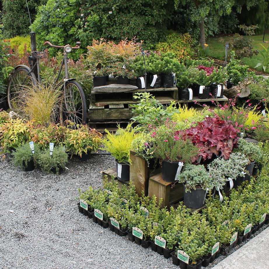 Allwood Trees Tree & Shrub Nursery located in Christchurch