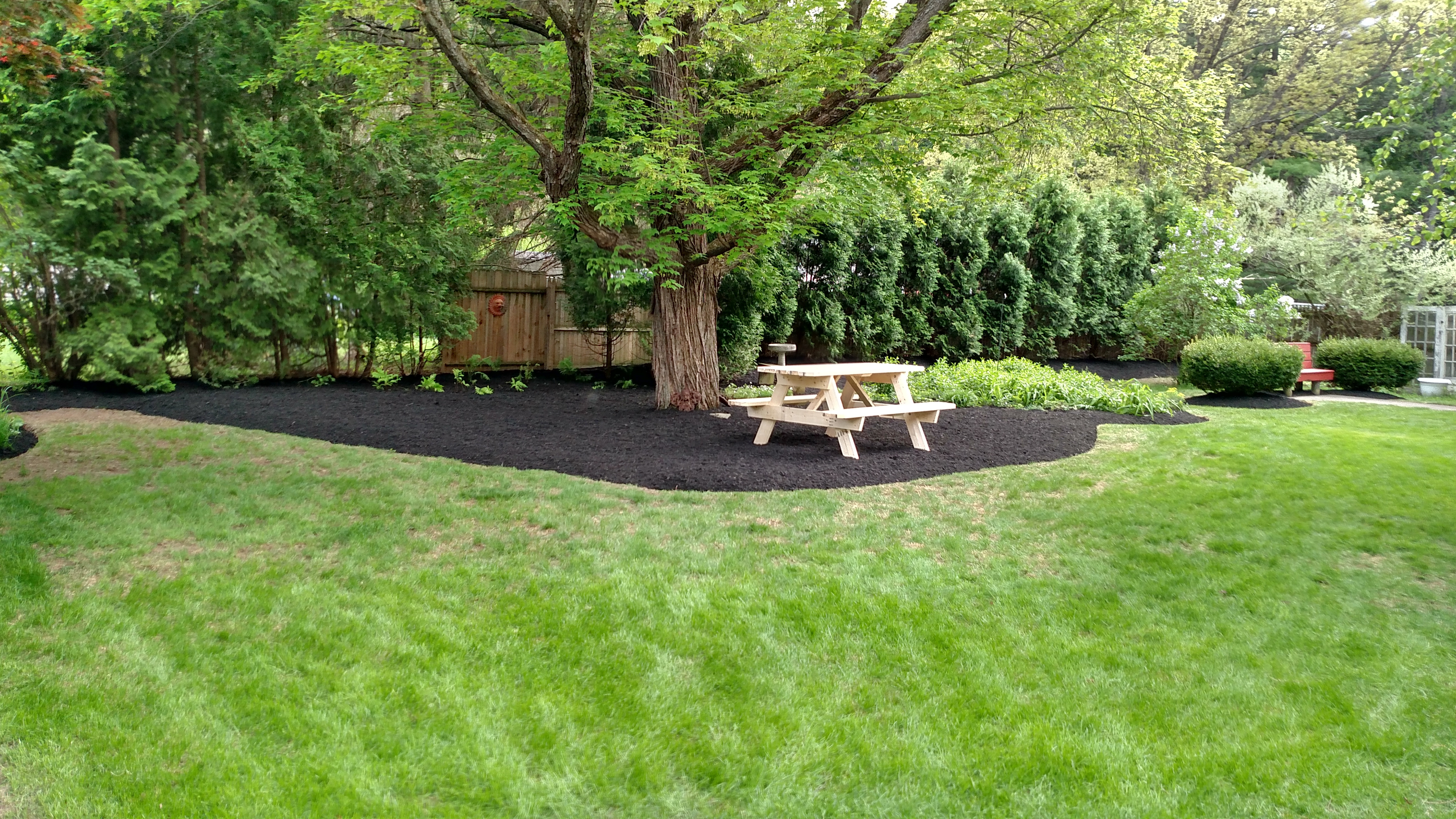 3 cherry tree saratoga springs ny landscaping services residential hydroseeding shrub tree installation stillwater albany 3 cherry tree saratoga springs ny landscaping services residential hydroseeding shrub tree installation stillwater albany