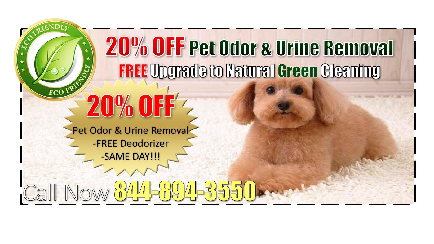 Buy Exclusive Carpet Cleaning Leads 100 in Free Leads