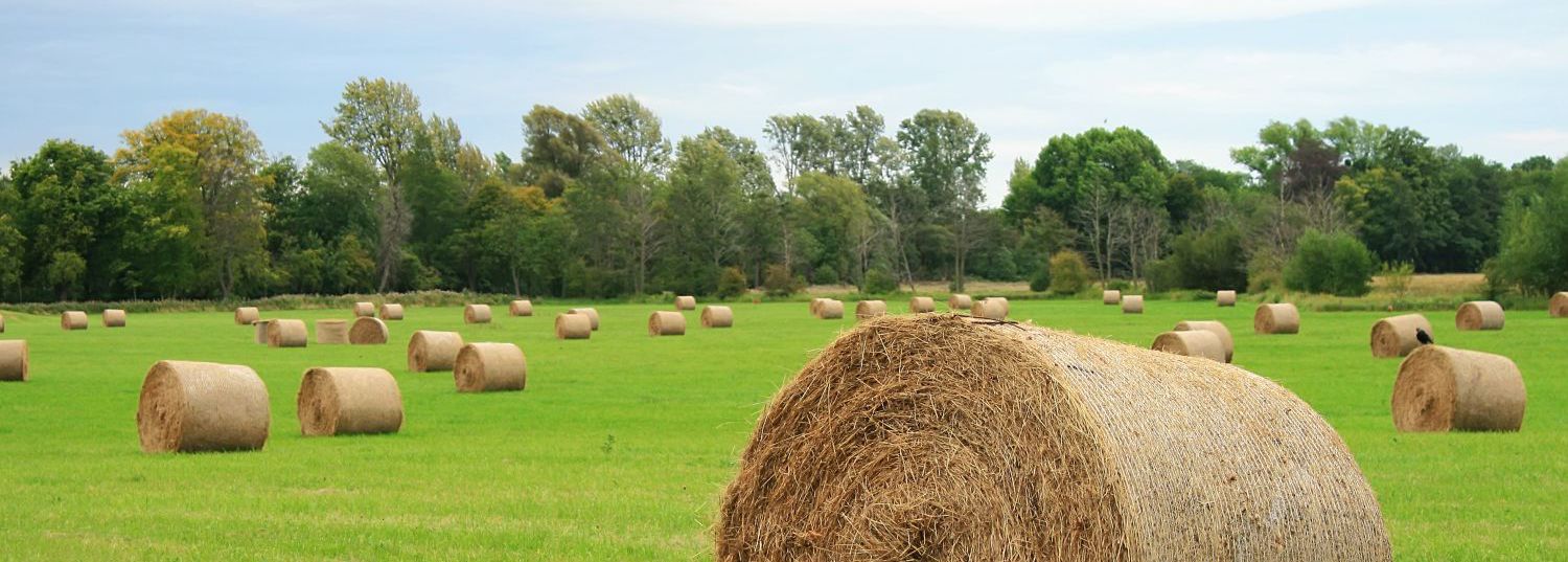 Farm supplies Lower Hutt Sharpes Feed Barn