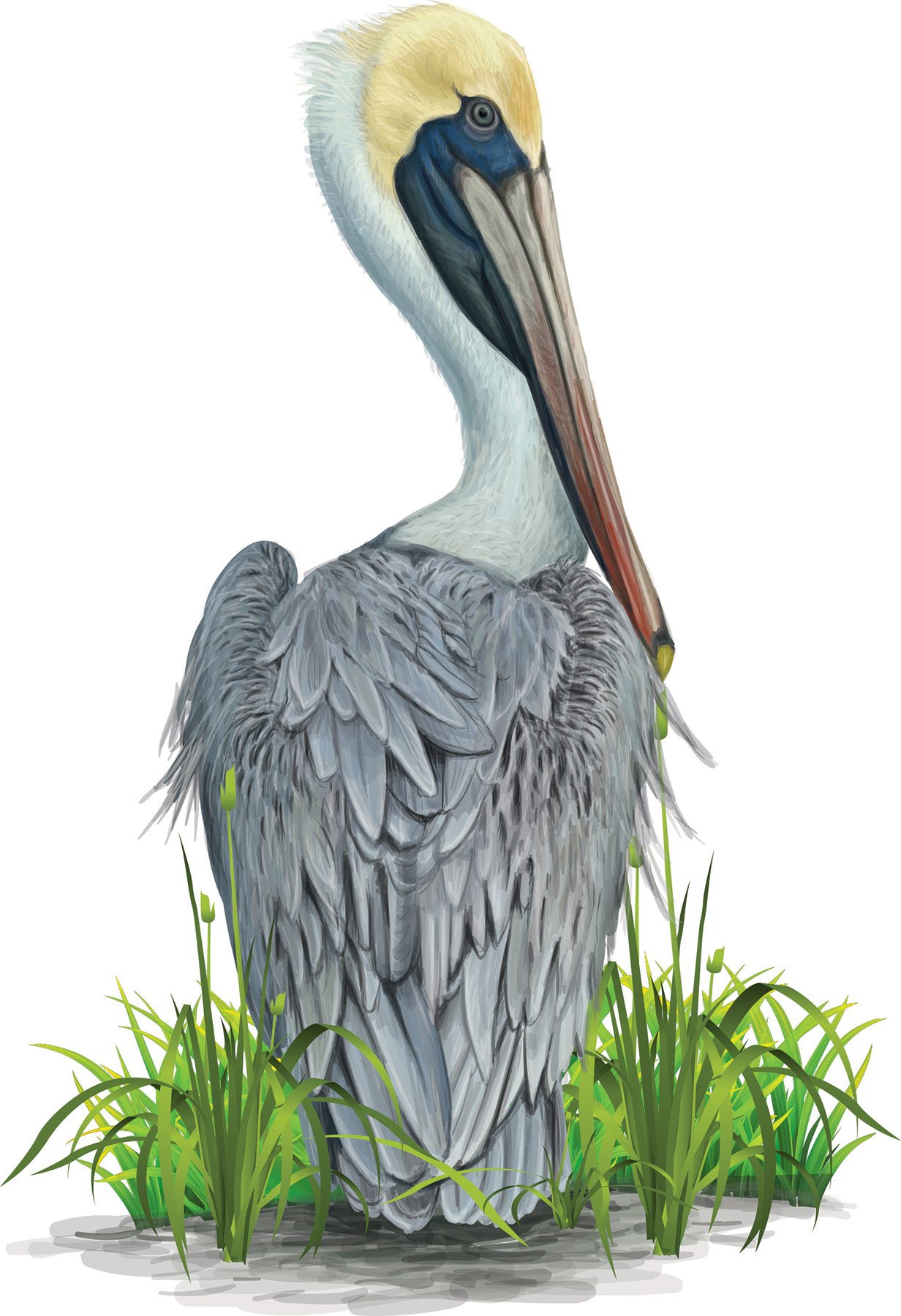 New Construction Services New Bern, NC Coastal Carolina Air