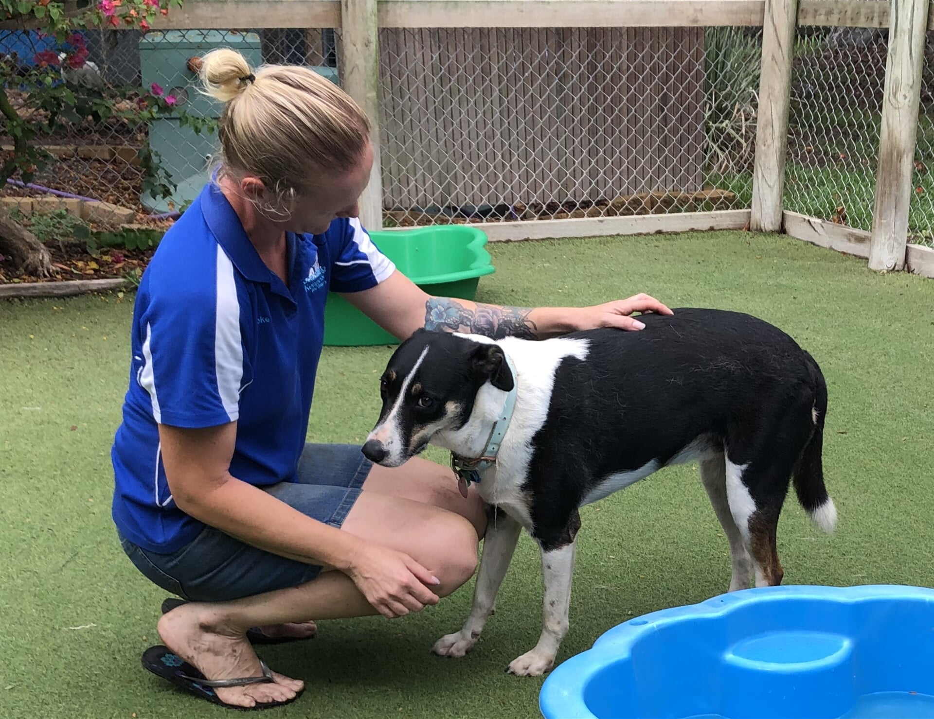 Gallery Yeppoon Boarding Kennels & Cattery