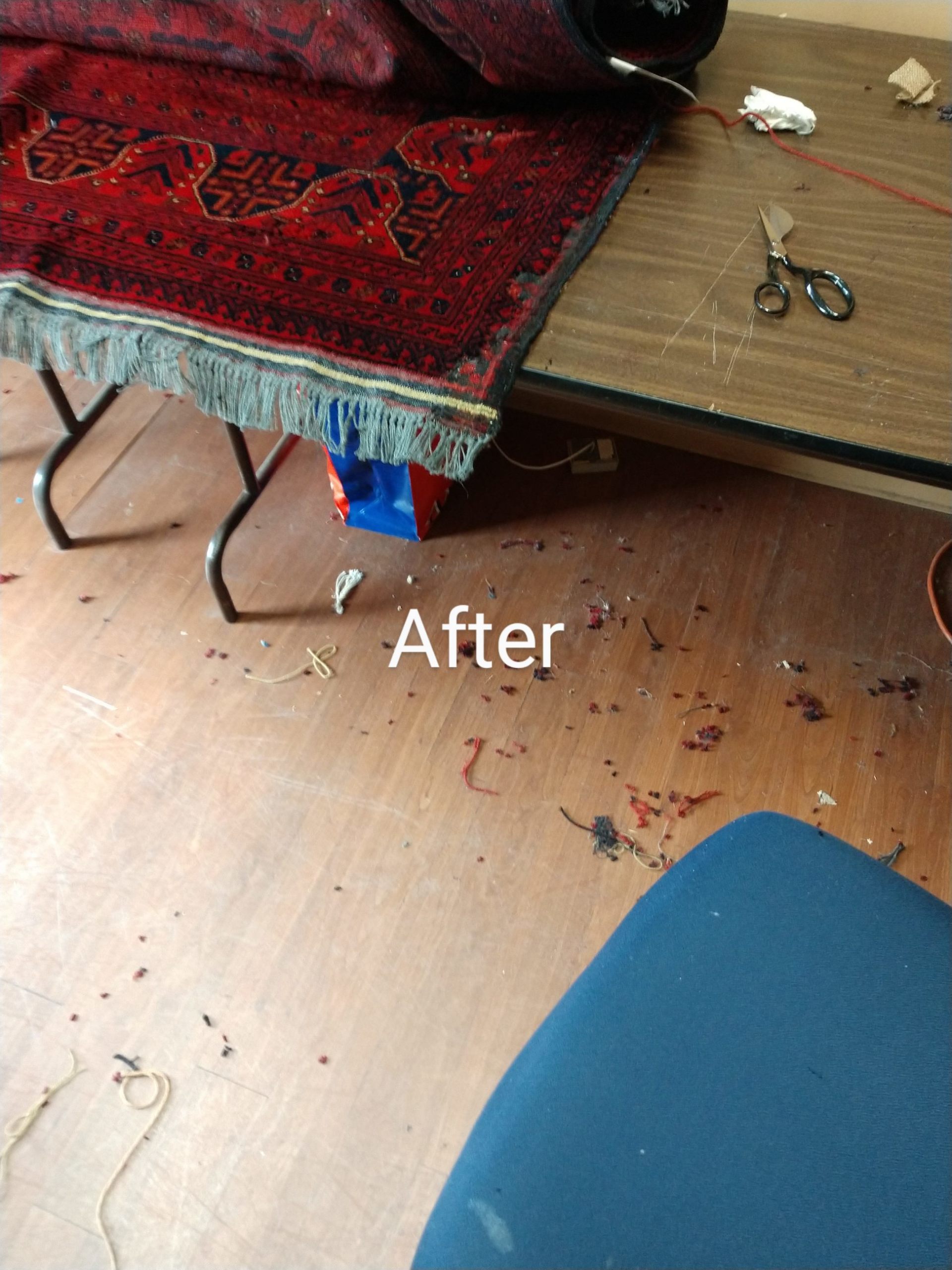 Carpet Cleaning in Fredrick MD