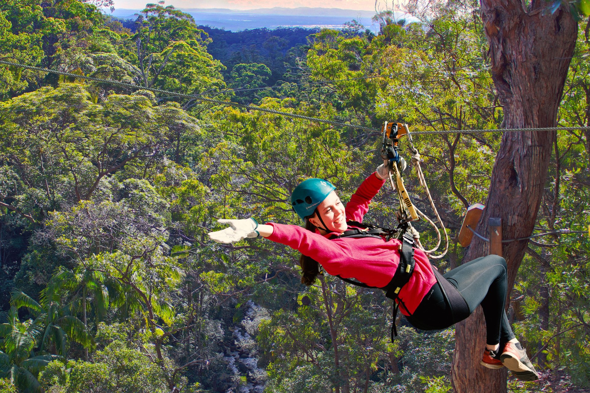 Thunderbird Park on Tamborine Mountain Adventure Outdoor Activities Caravan & Camping