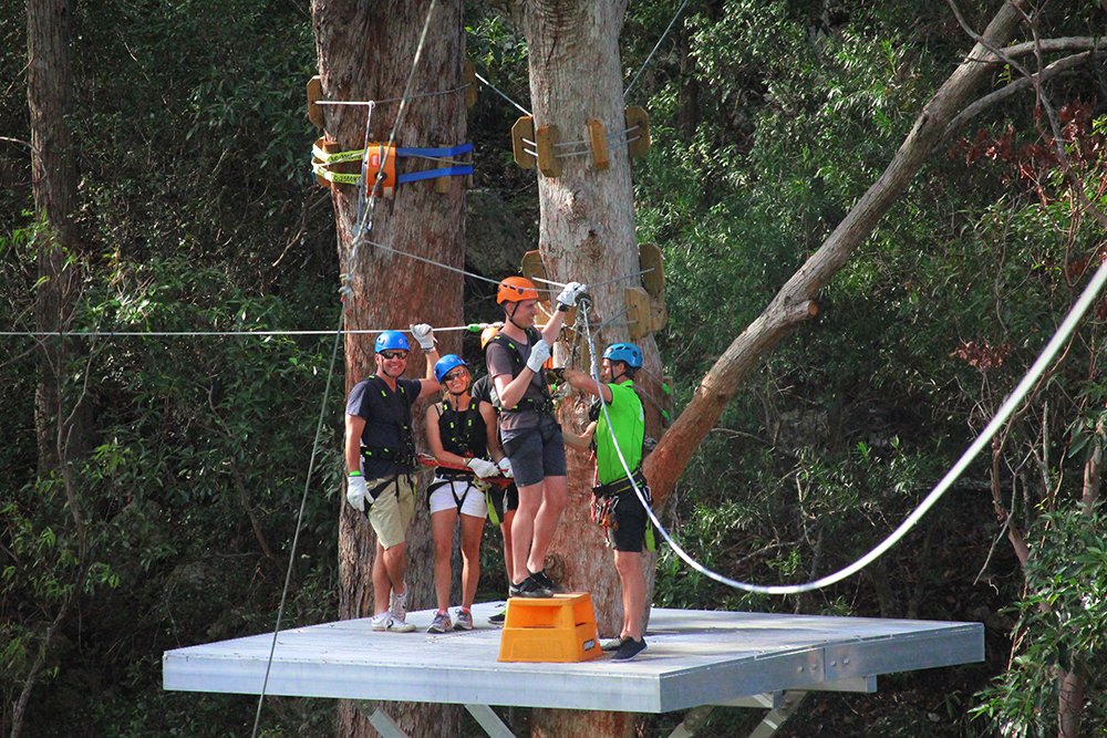Thunderbird Park Canyon Flyer Zipline Tamborine Mountain, QLD