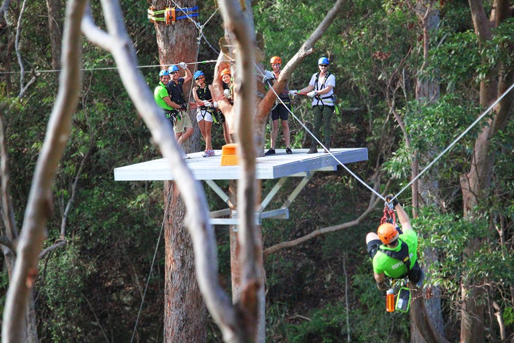 Thunderbird Park Canyon Flyer Zipline Tamborine Mountain, QLD