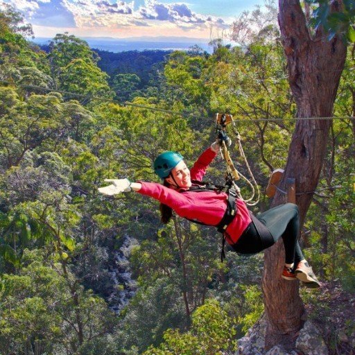 Thunderbird Park TreeTop Challenge & High Ropes Tamborine Mountain, QLD