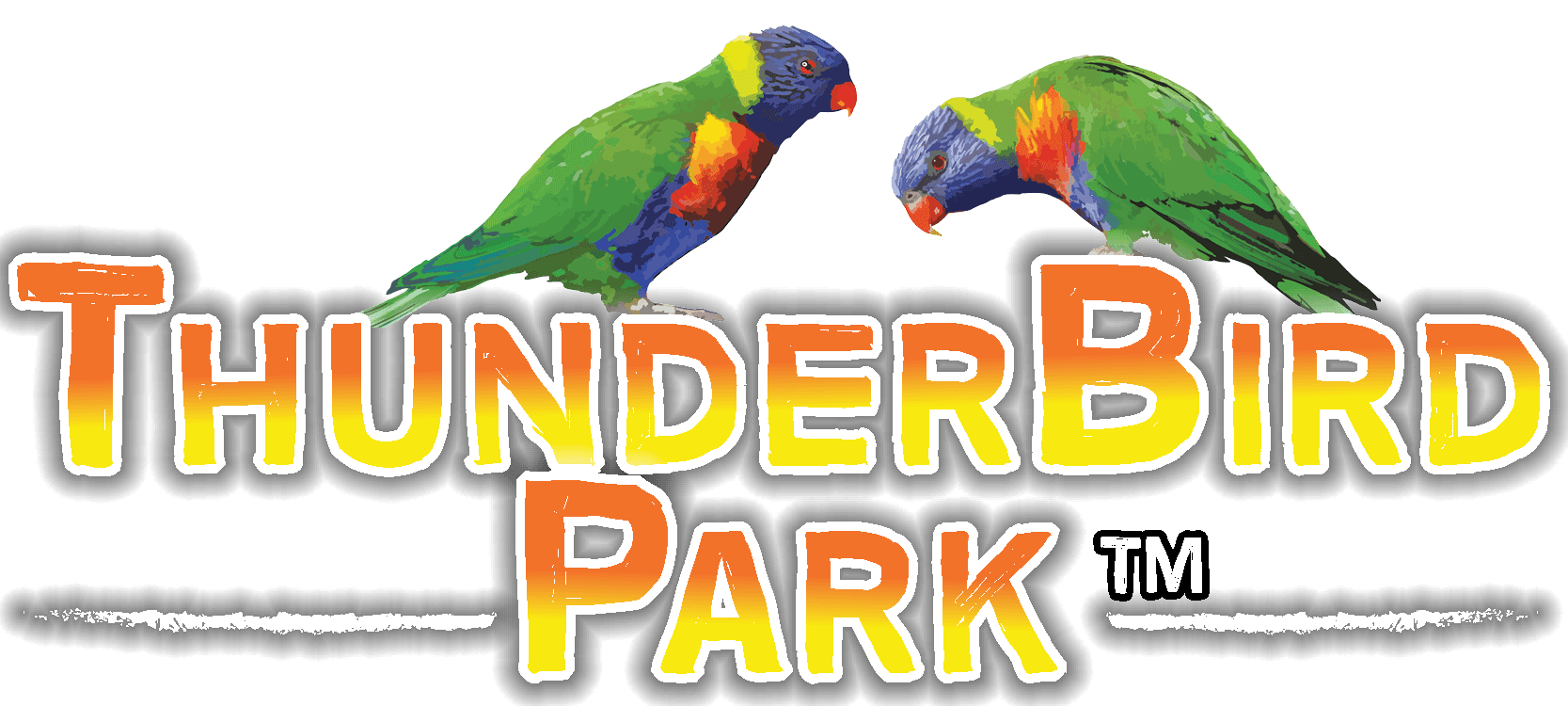 Thunderbird Park Mt Tamborine Adventure Park Gold Coast