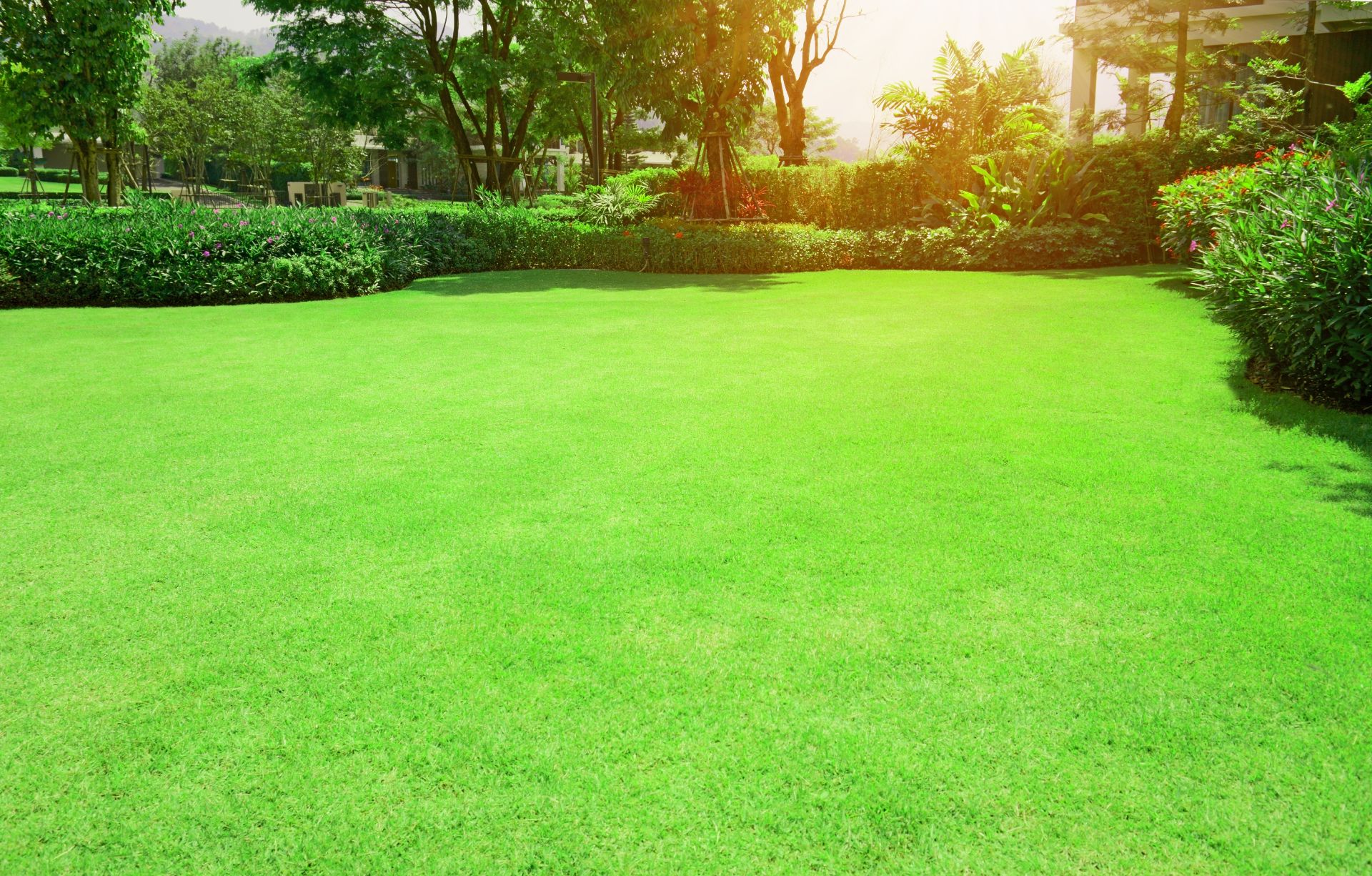 Lawn Services in Festus, MO Cardinal Lawn Care LLC