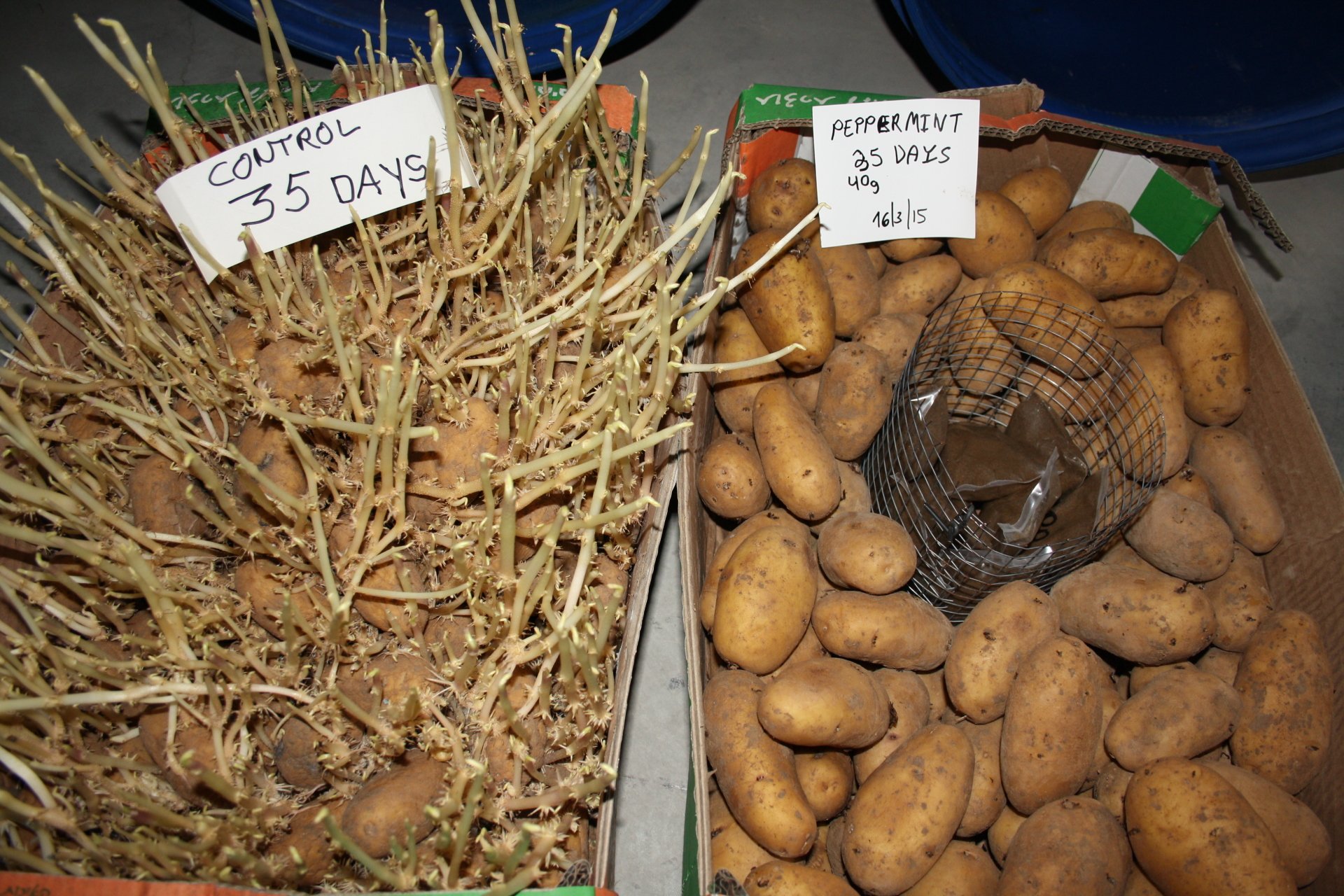 Bio-Pel™ | post_harvest