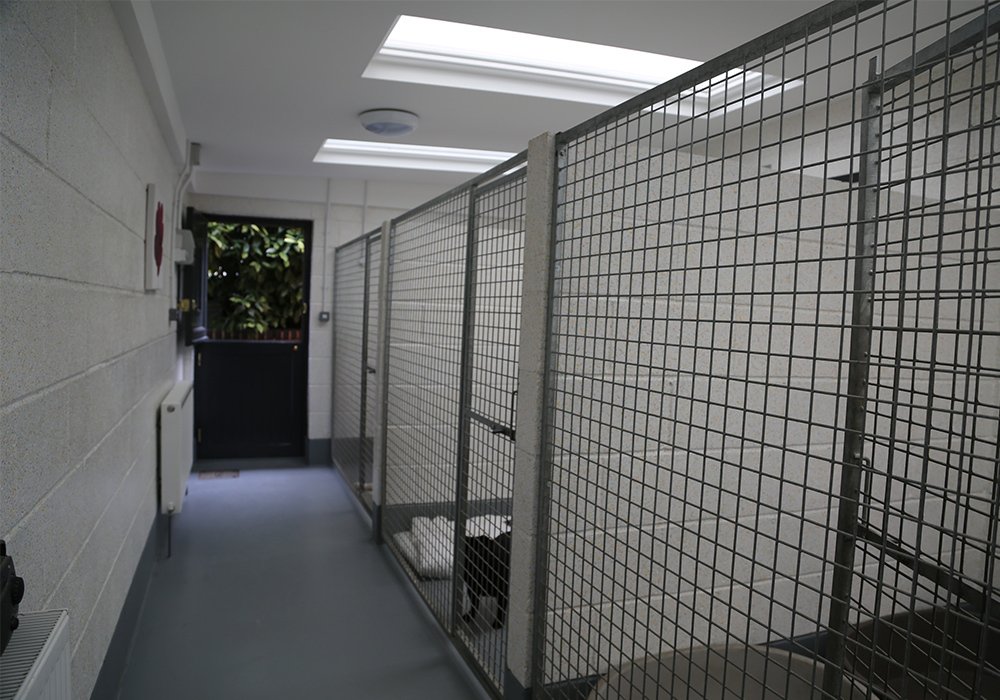 Kennels & Doggy Day Care, Essex Beeches Farm Kennels