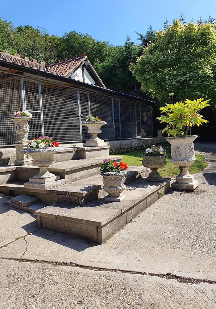 Kennels & Doggy Day Care, Essex Beeches Farm Kennels