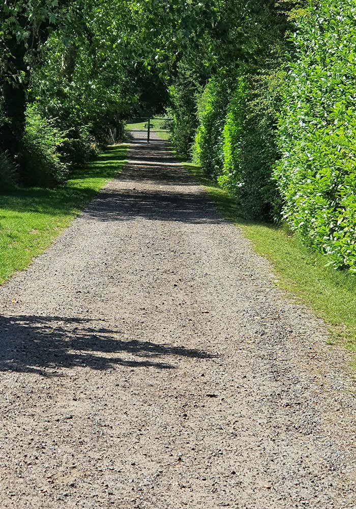 Kennels & Doggy Day Care, Essex Beeches Farm Kennels