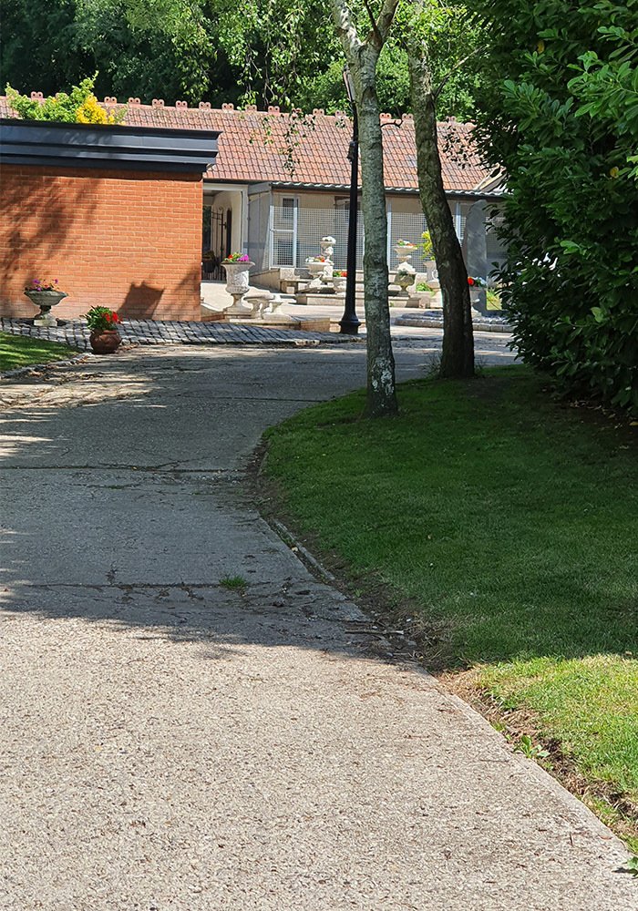 Kennels & Doggy Day Care, Essex Beeches Farm Kennels