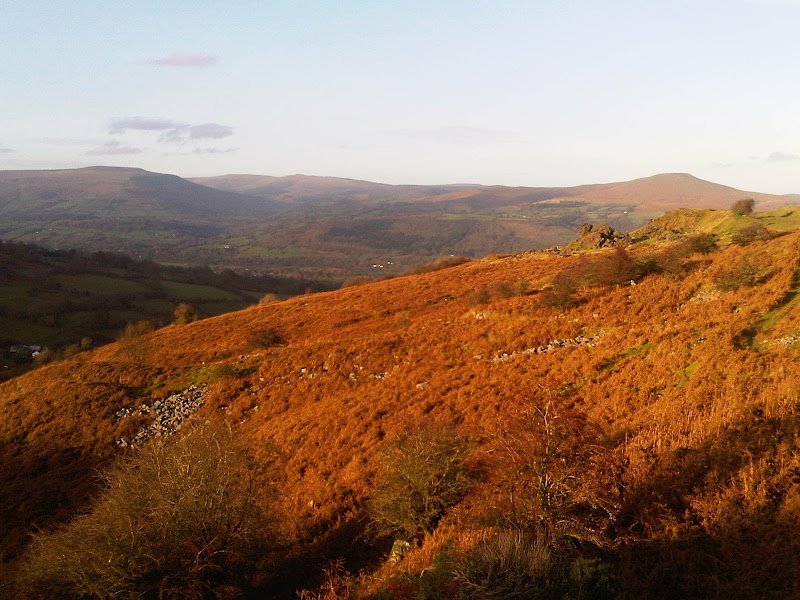 ABOUT US Bryn y Cwm Farm, Abergavenny. We breed, sell and hire Jacob