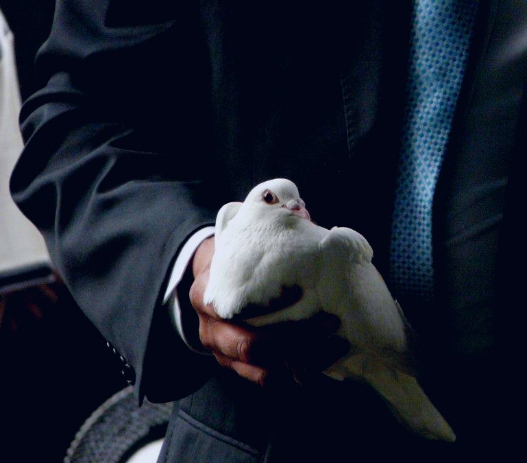 Dove Release Funeral Services Funerals by T.S. Warden