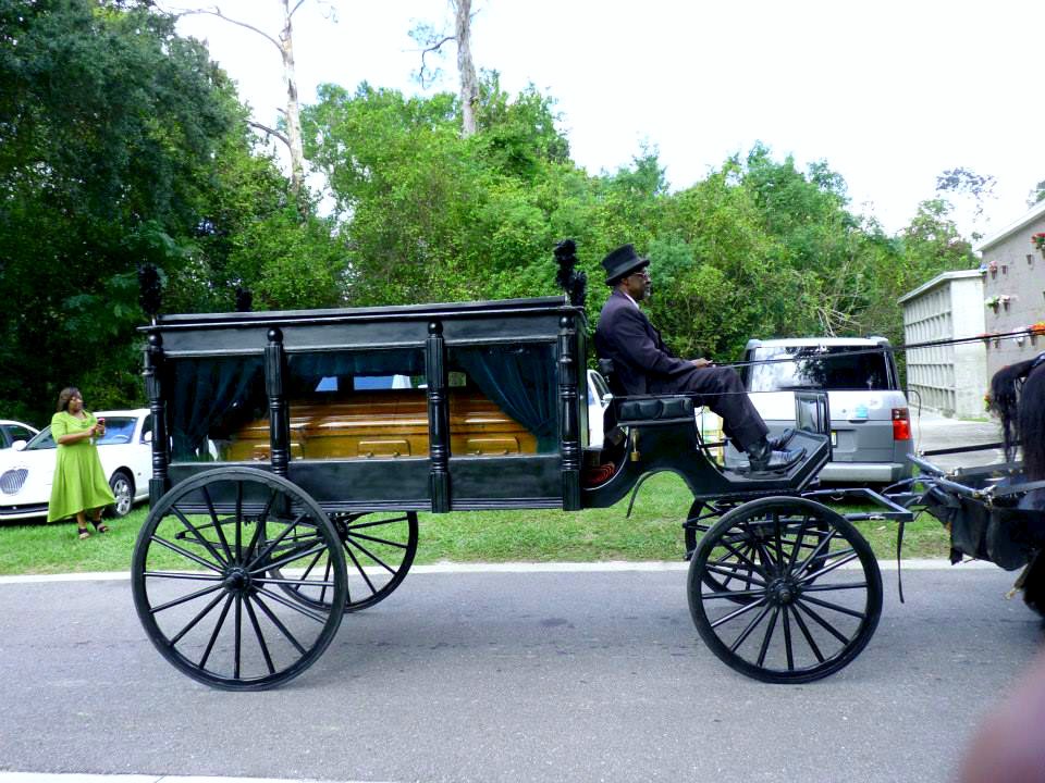 Horse Drawn Hearses Funerals by T.S. Warden