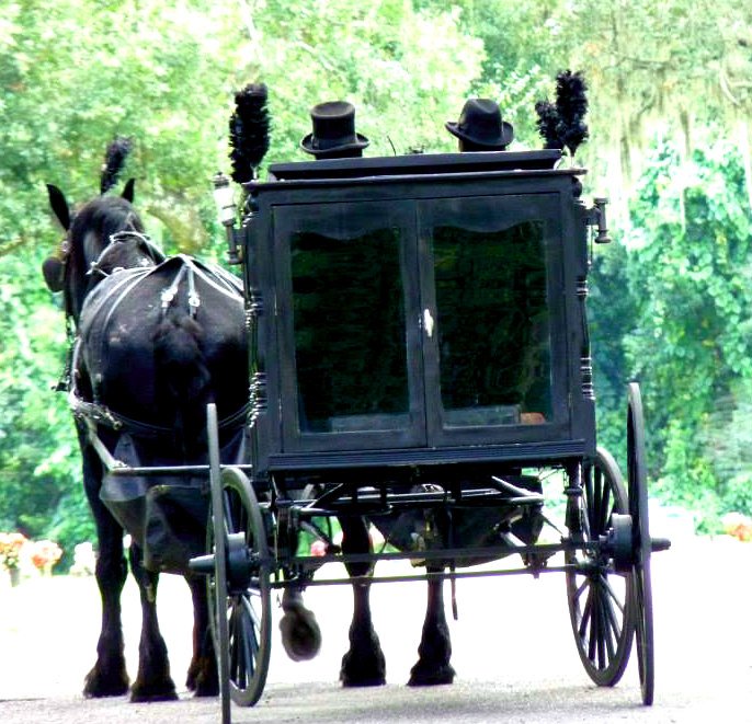 Horse Drawn Hearses Funerals by T.S. Warden