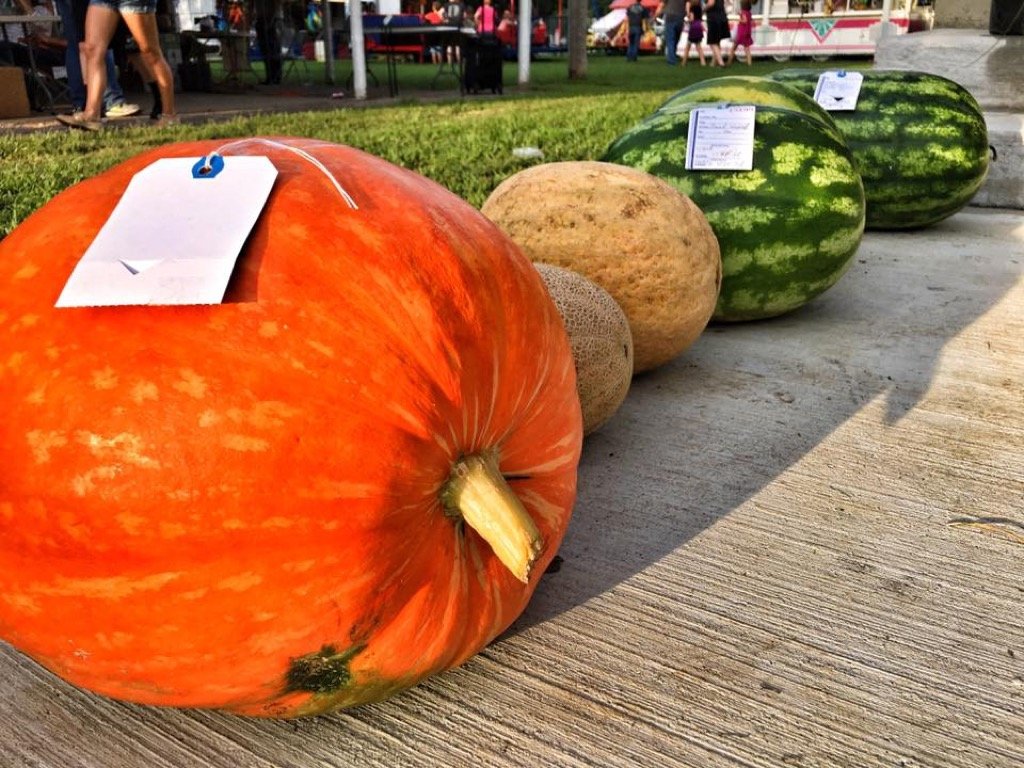 Old Settler's Picnic Sheldon Park Apartments
