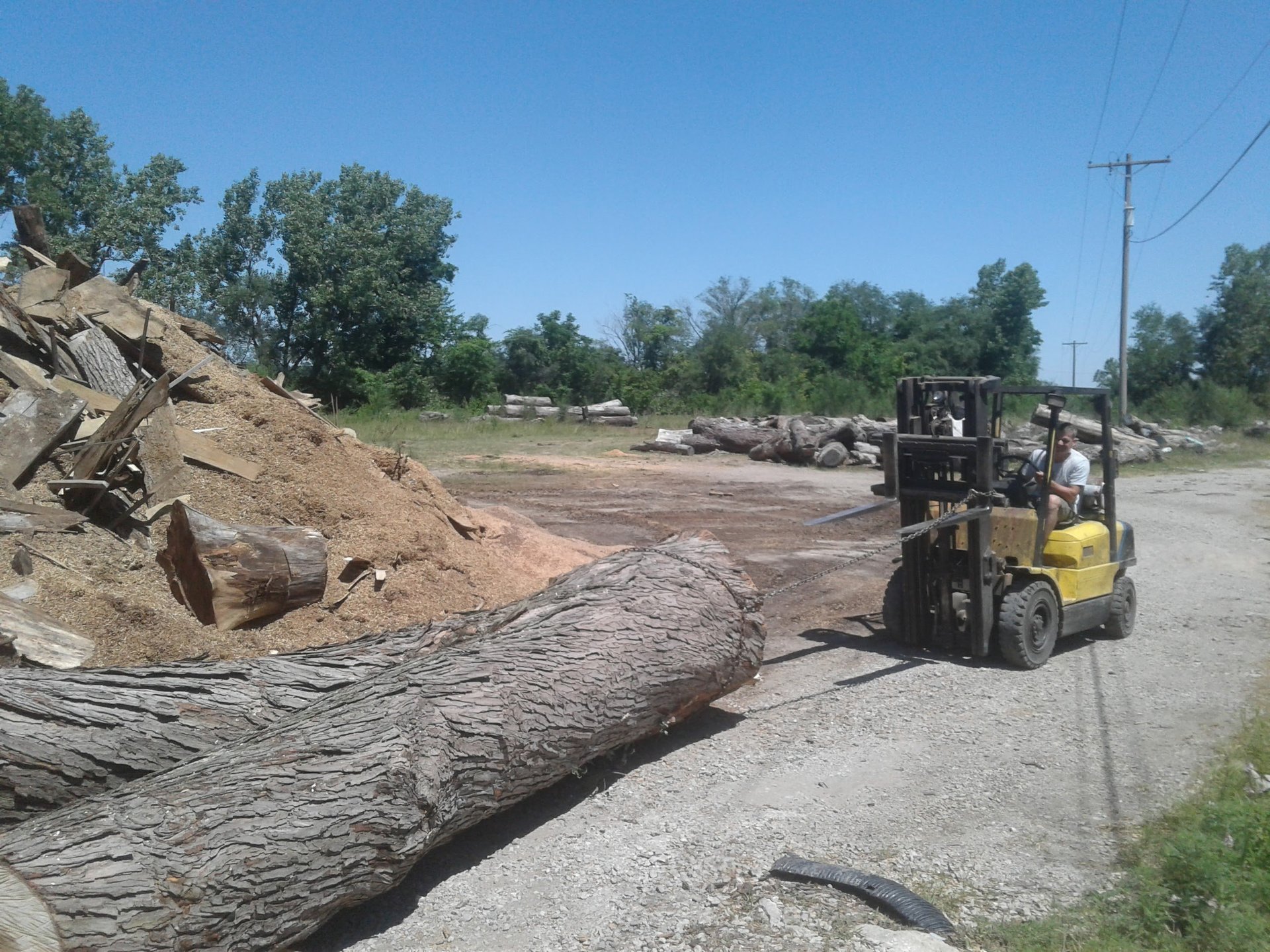 Tree Services Tree Service Kansas City Jasons Tree