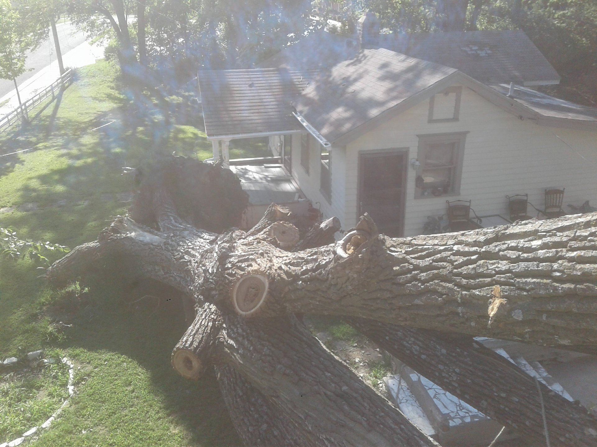Tree Services Tree Service Kansas City Jasons Tree