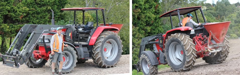 A professional grassing contractor at work in Auckland