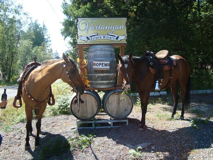 Vartanyan wine barrels & horses