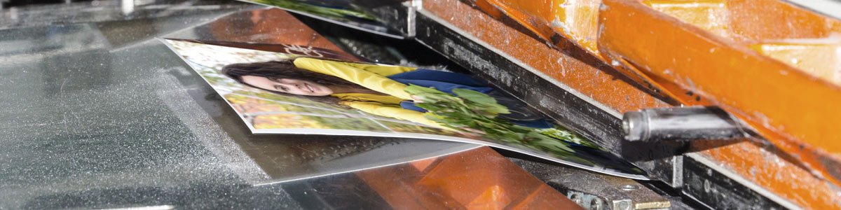 art throb digital print art throb digital print