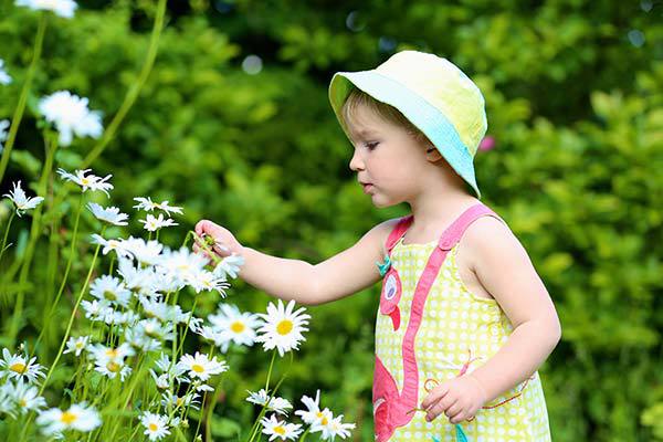 Total Soil soil suppliers