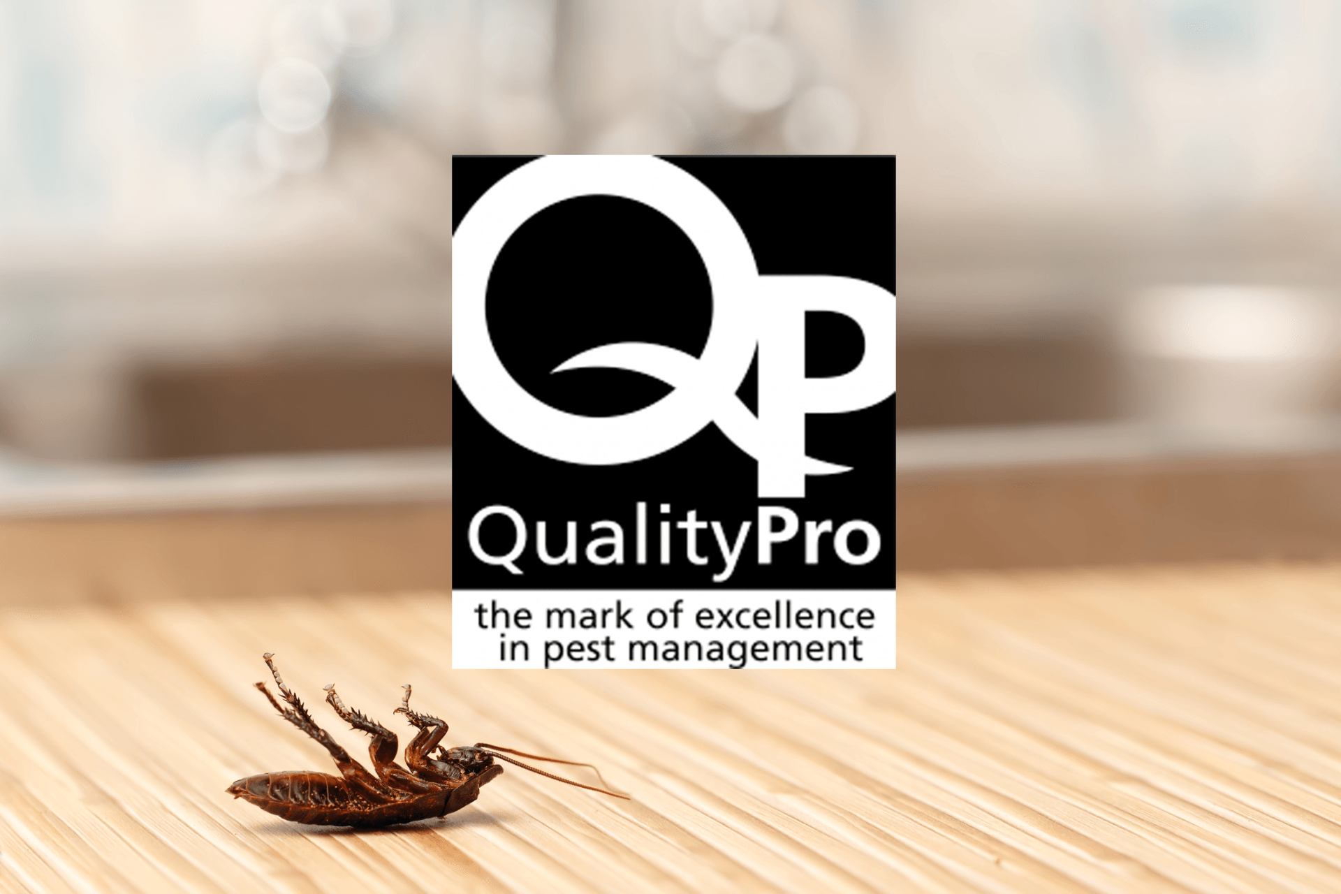 Expert Pest Control | Baytown, TX | Metro Exterminating