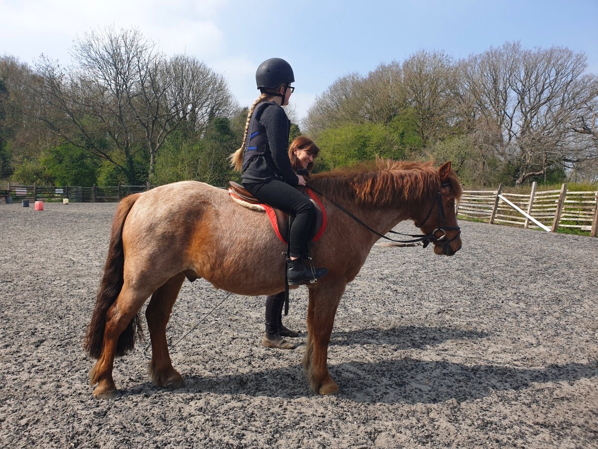 Engine Common Horse Riding School Bristol | What People Say