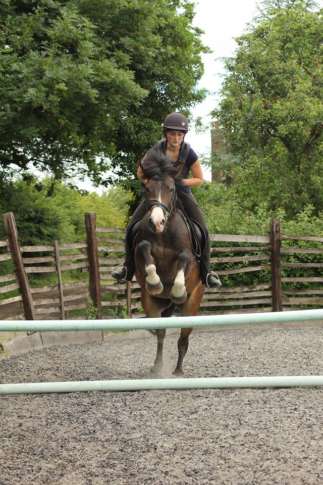 Engine Common Horse Riding School Bristol What People Say