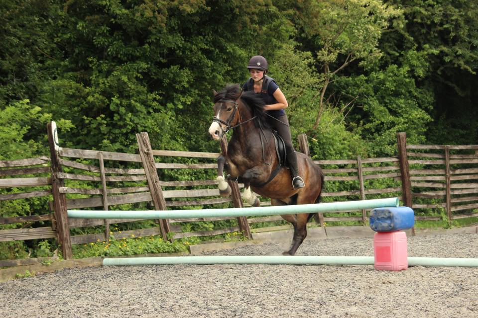 Children's Horse Riding Lessons Bristol Horse Riding Lesson Prices