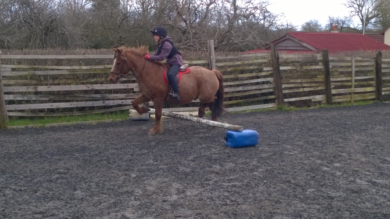 Children's Horse Riding Lessons Bristol Horse Riding Lesson Prices