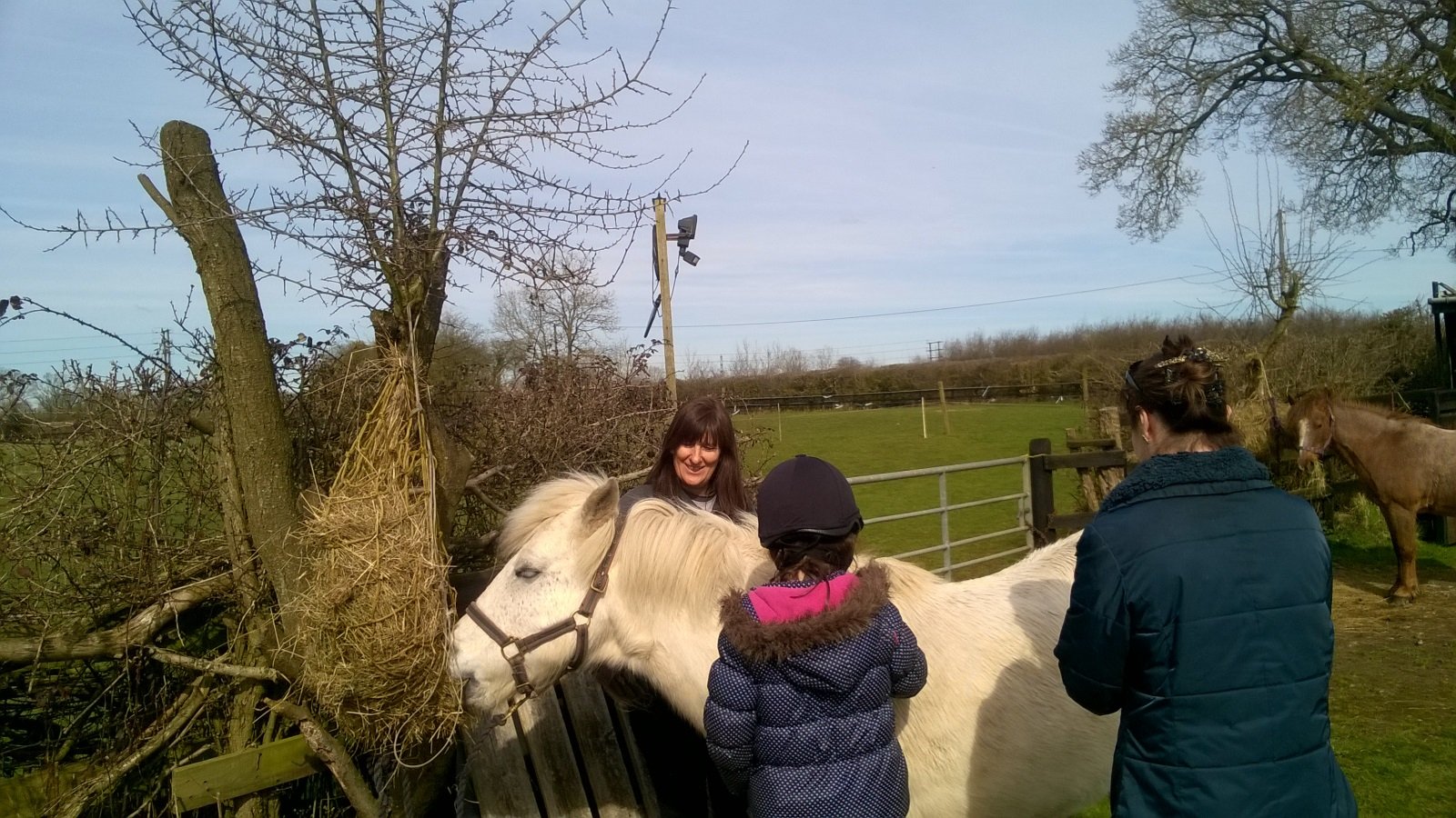 Children's Horse Riding Lessons Bristol Engine Common Riding School