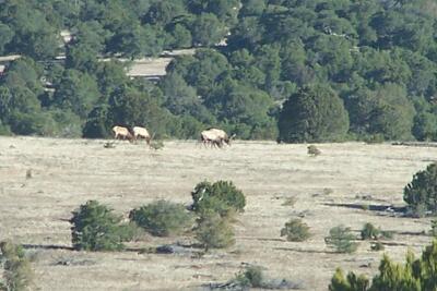 Peters Ranch - 1,356 Deeded 1,800 Forest