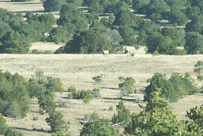 Peters Ranch - 1,356 Deeded 1,800 Forest