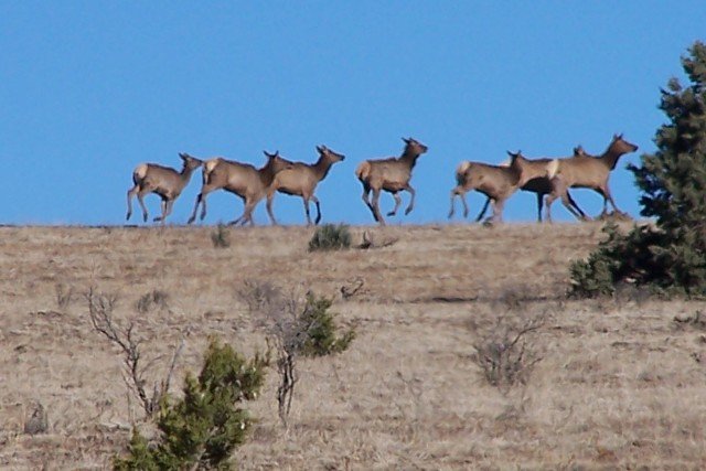 Peters Ranch - Lincoln County