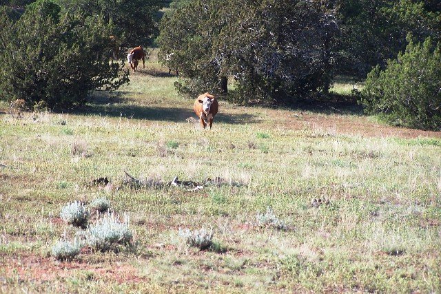 Peters Ranch - Lincoln County