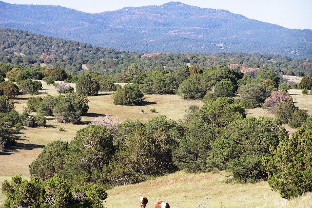 Peters Ranch - Lincoln County
