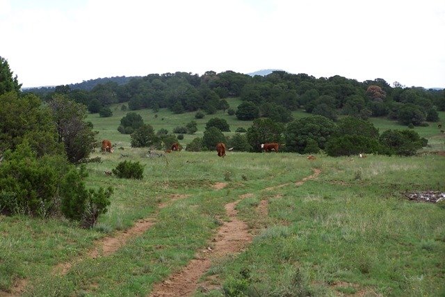 Peters Ranch - Lincoln County