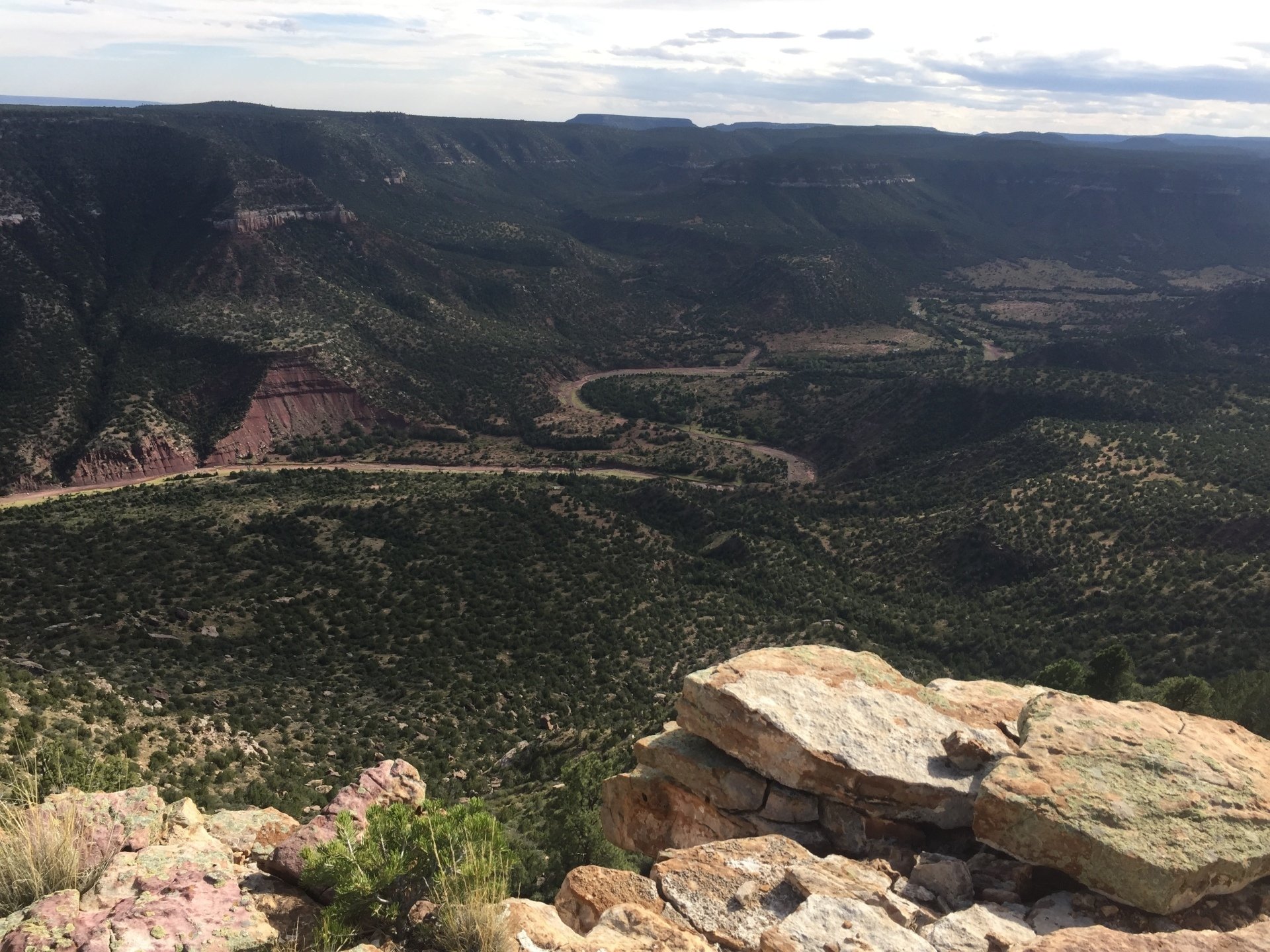 Stallard R/E Svcs Fort Sumner NM