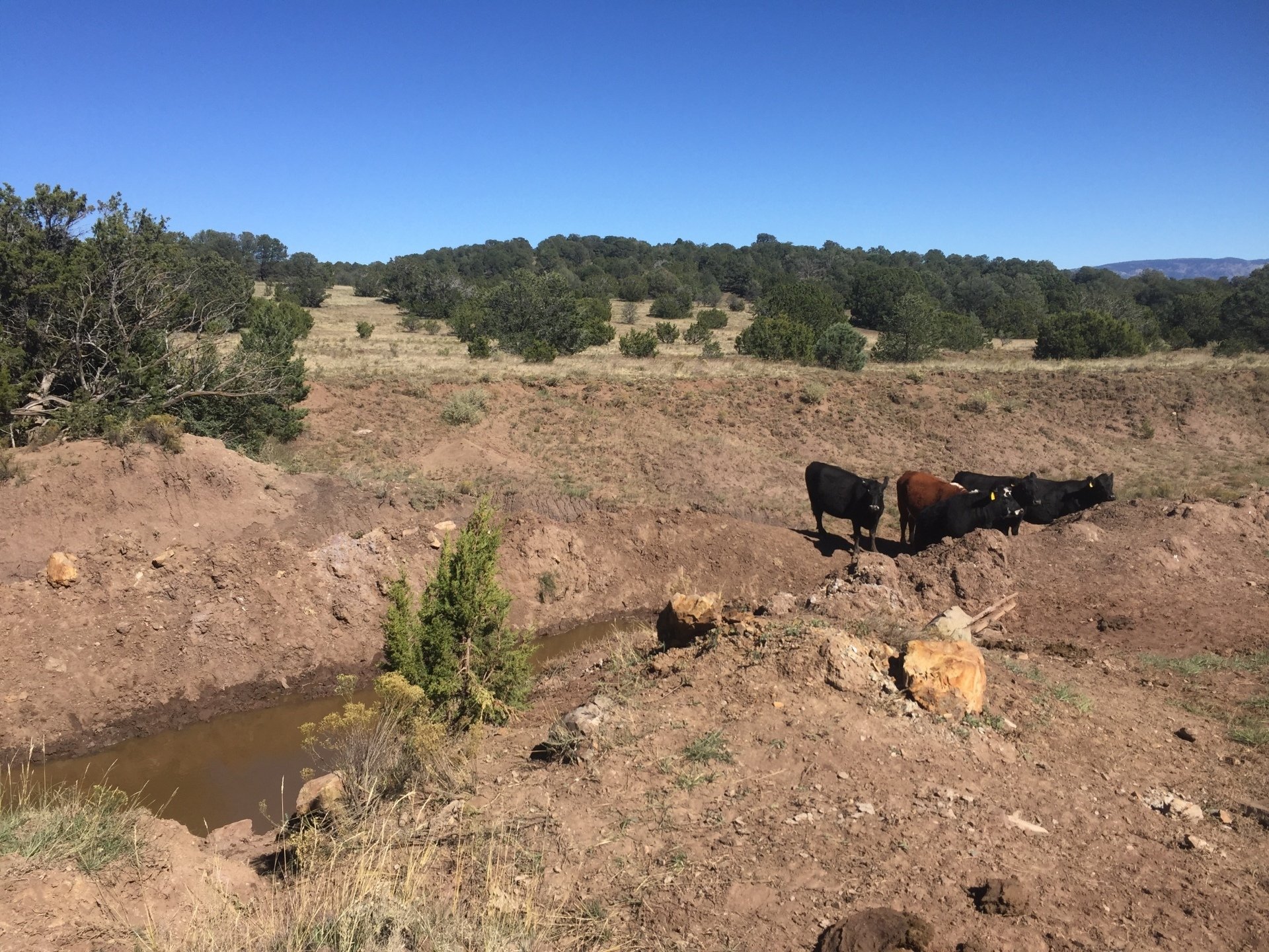 Peters Ranch - Lincoln County