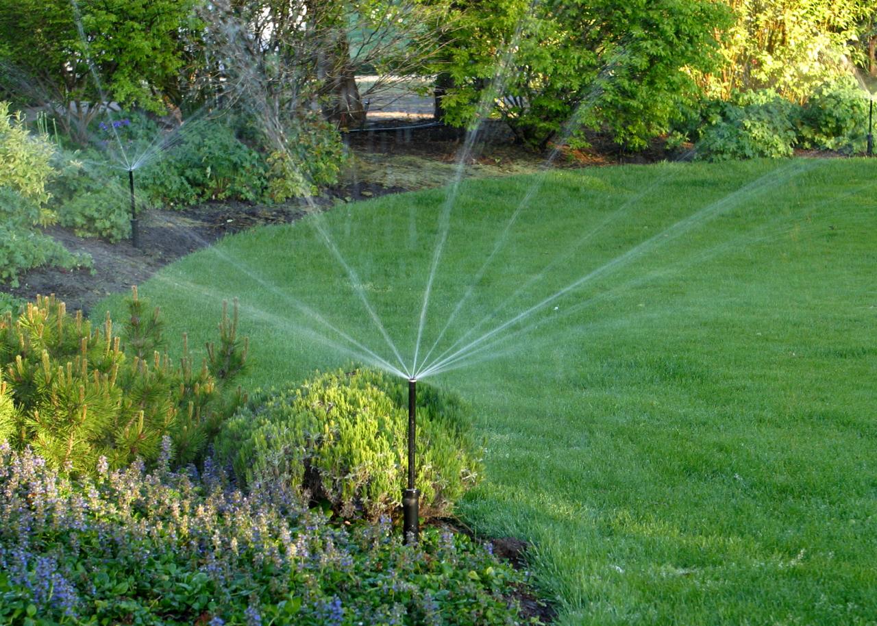 Irrigation and Sprinkler Systems / Greenville SC