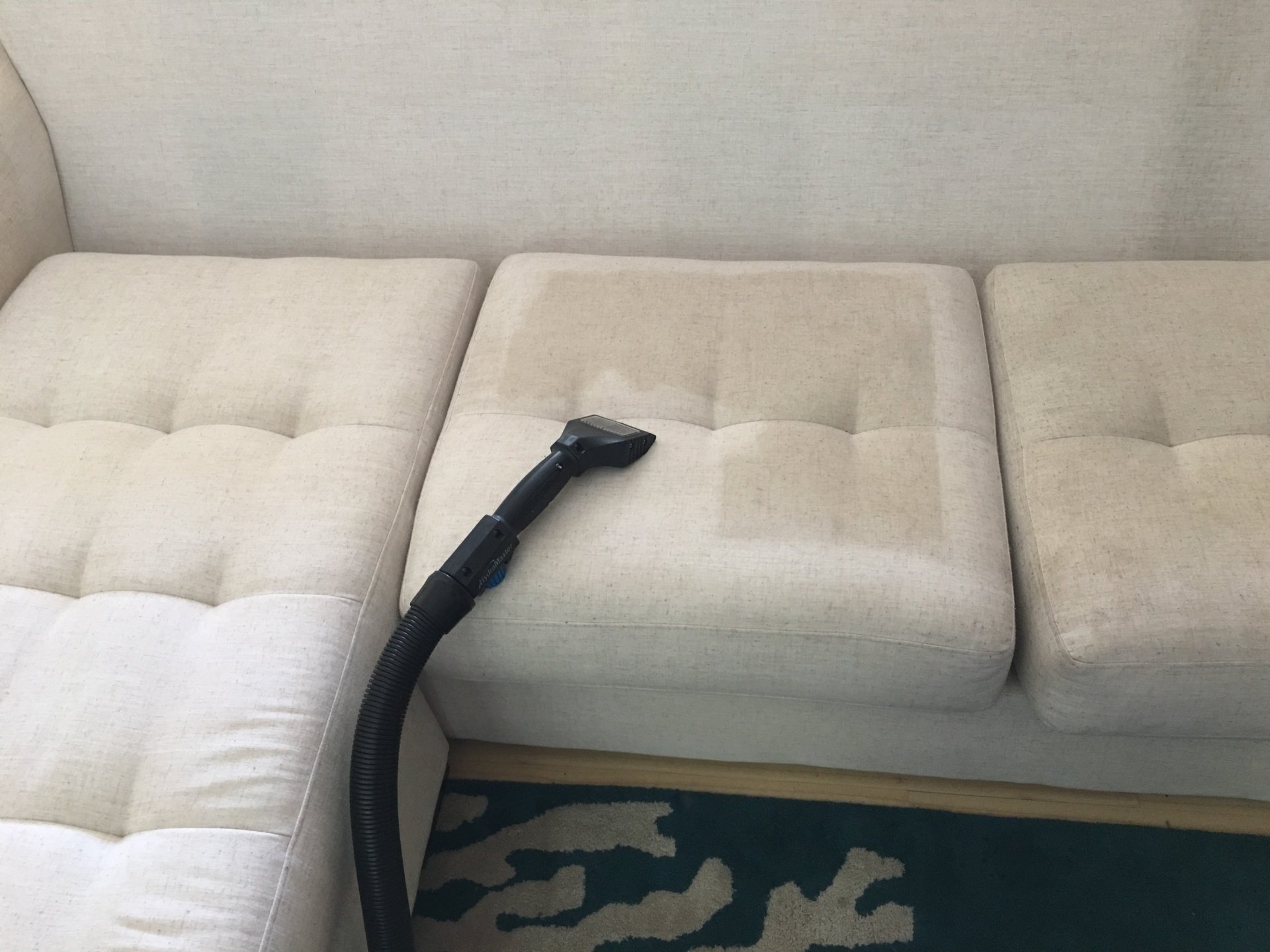 Marinucci's Carpet Cleaning & Janitorial David Marinucci — Carpet