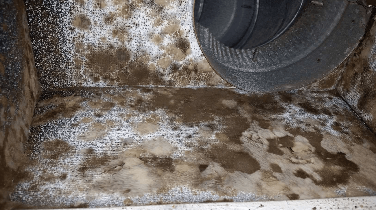 How to Remove Mold from Air Ducts