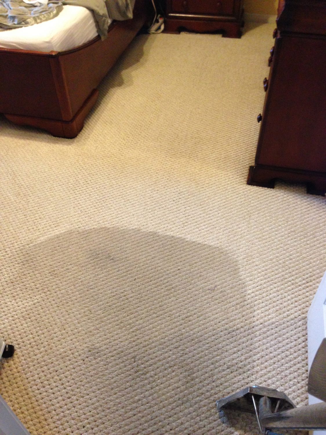 Commercial Carpet Cleaning l Cordova, TN l Roto Clean
