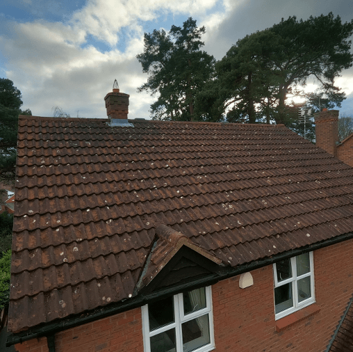 Roof Cleaning And Moss Removal Guide